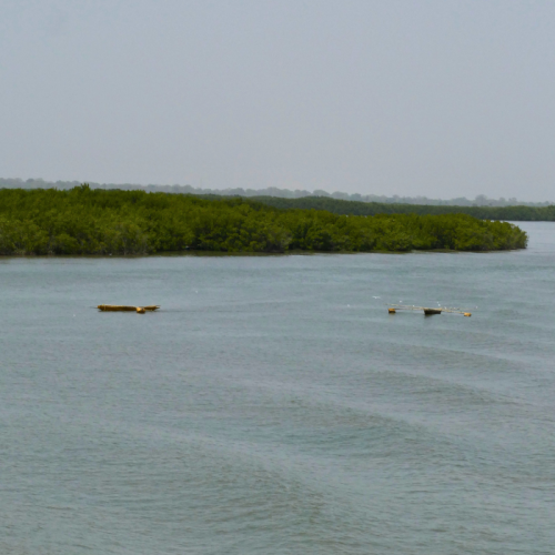 ferry casamance Senegal